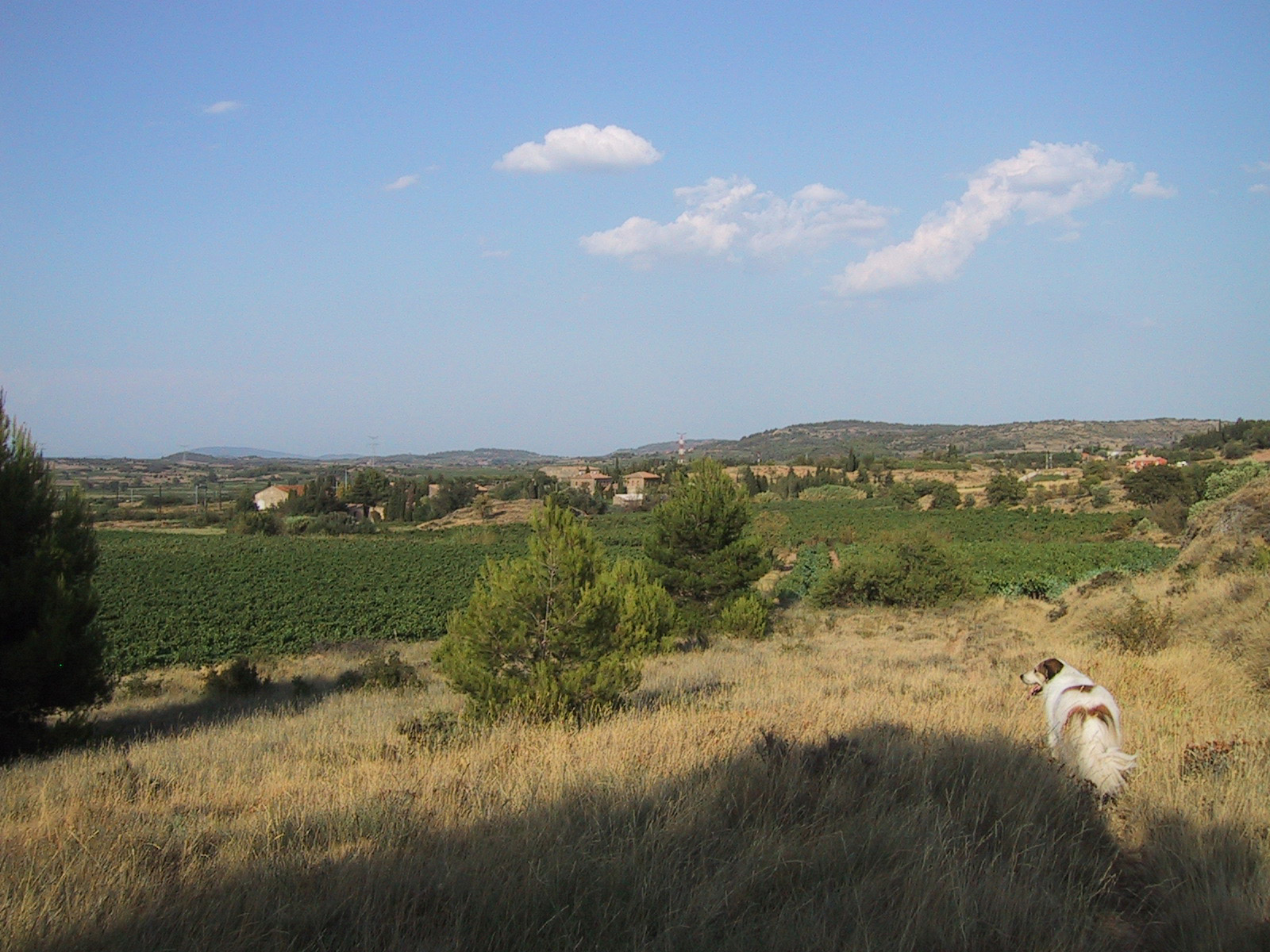 Mein Land.jpg (1600 x 1200)